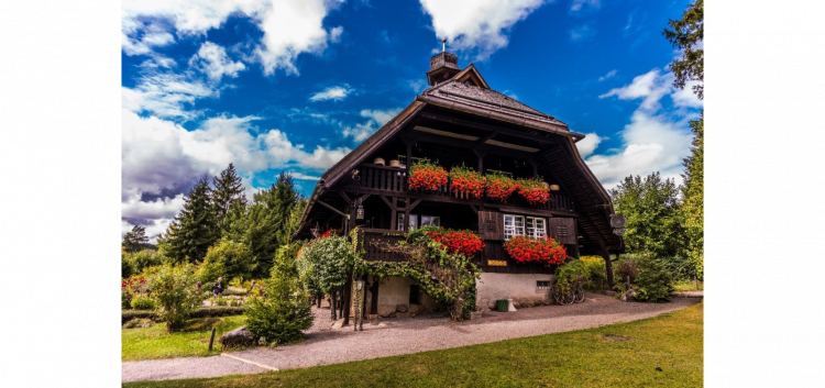 traditionelles Schwarzwaldhaus mit Blumen an den Fenstern